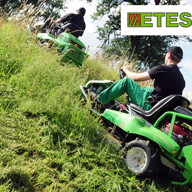 Etesia