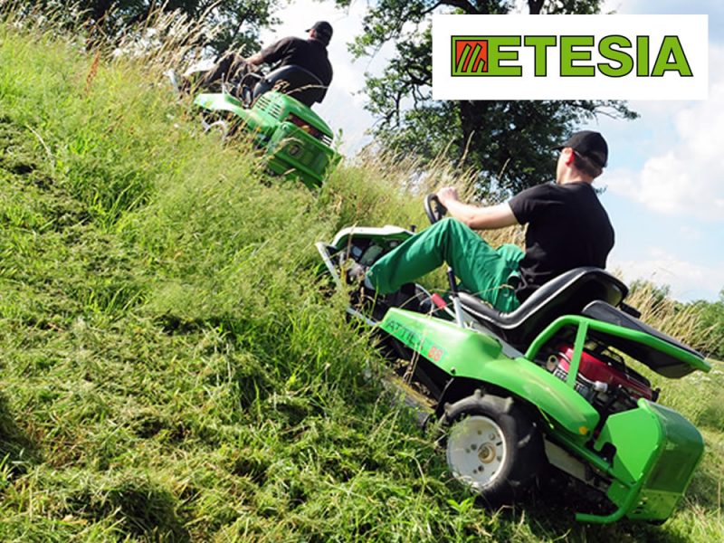 Etesia