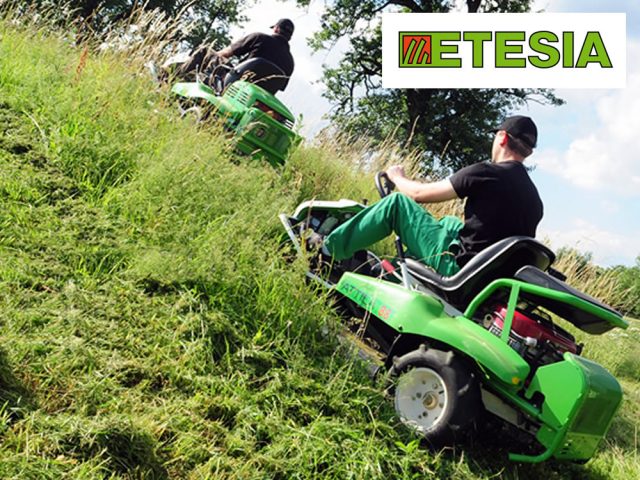 Etesia